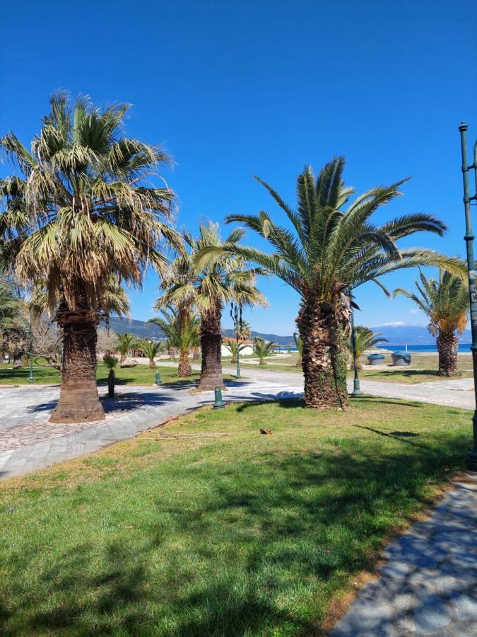 אספרובלטה Orange Tree Apartment מראה חיצוני תמונה
