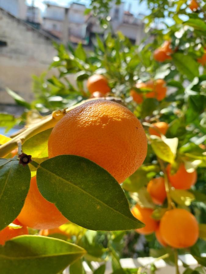 אספרובלטה Orange Tree Apartment מראה חיצוני תמונה